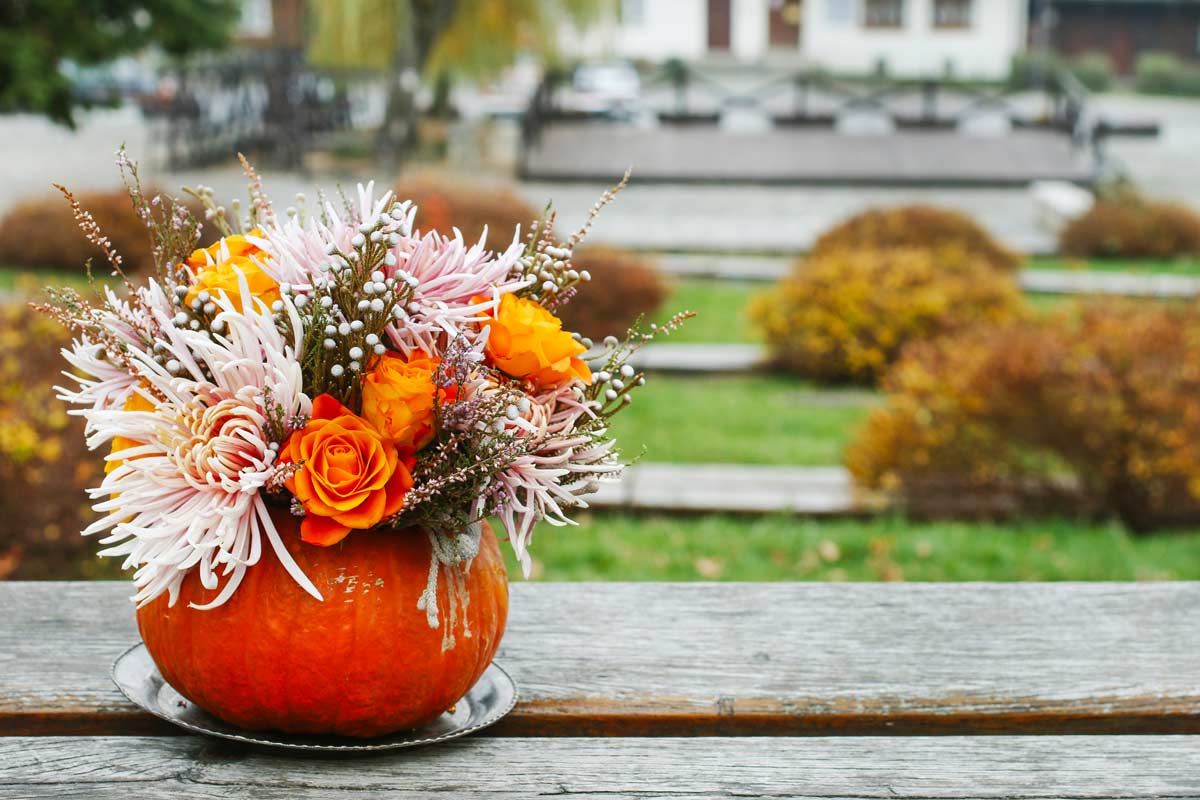 zucca come contenitore per fiori