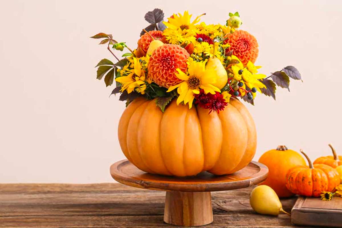 zucca sopra alzatina