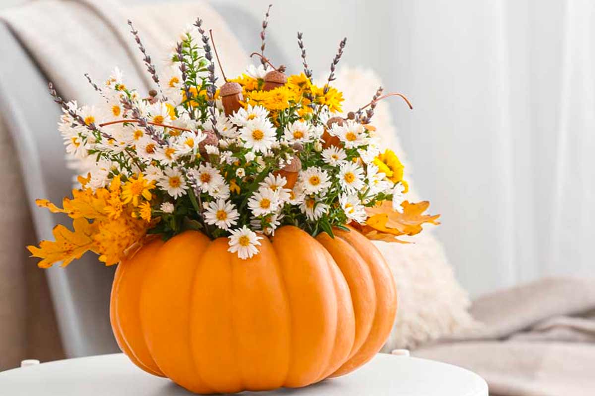 zucca con fiori come centrotavola autunnale